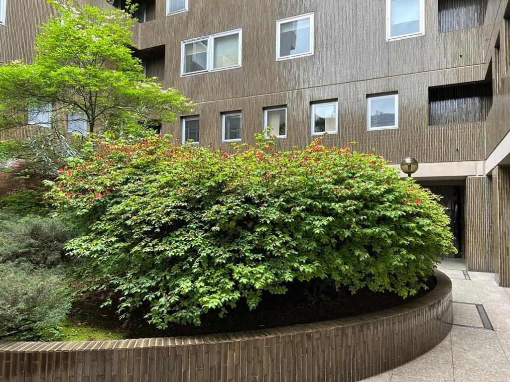 Residenza Palace Caffe Venezia Lugano Exteriör bild